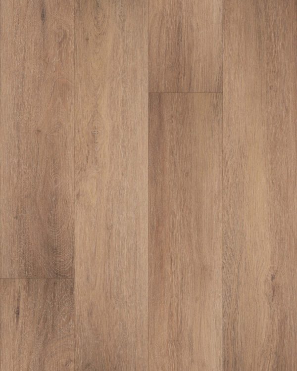 bellamy-brooks-vinyl-flooring Bellamy Brooks